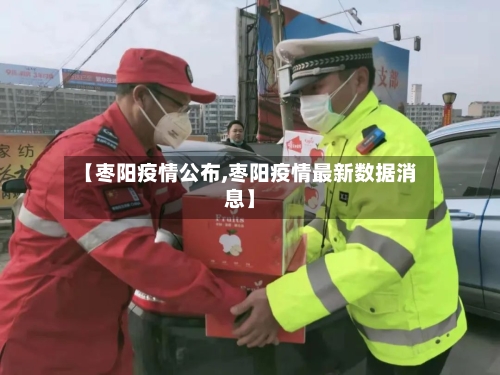 【枣阳疫情公布,枣阳疫情最新数据消息】-第2张图片