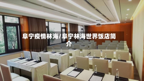 阜宁疫情林海/阜宁林海世界饭店简介