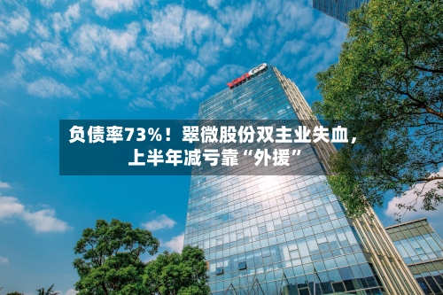 负债率73%！翠微股份双主业失血，上半年减亏靠“外援”-第3张图片
