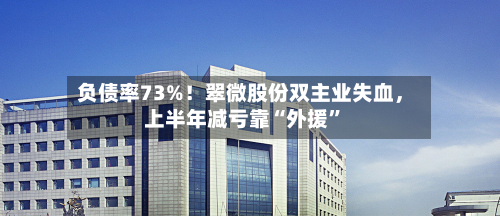 负债率73%！翠微股份双主业失血，上半年减亏靠“外援”-第2张图片