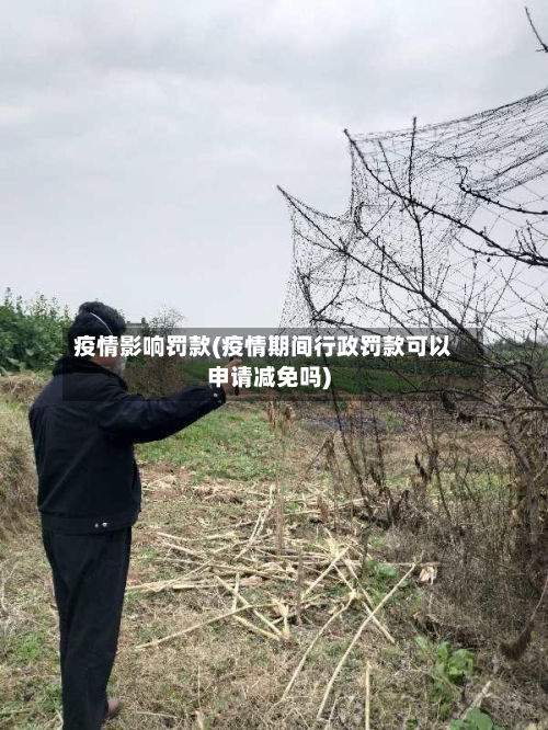 疫情影响罚款(疫情期间行政罚款可以申请减免吗)-第2张图片