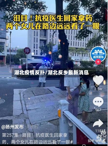 湖北疫情反扑/湖北反乡最新消息