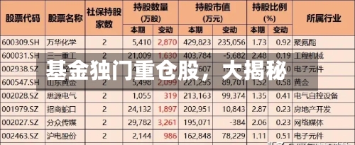 基金独门重仓股，大揭秘-第3张图片