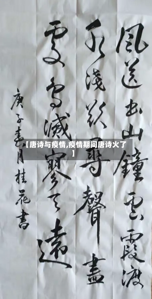 【唐诗与疫情,疫情期间唐诗火了】-第2张图片