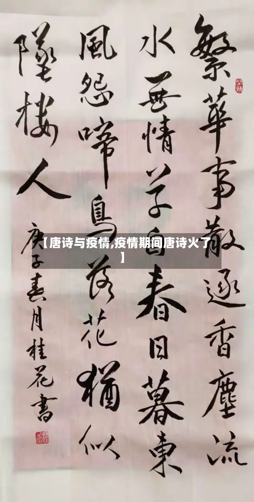 【唐诗与疫情,疫情期间唐诗火了】-第3张图片