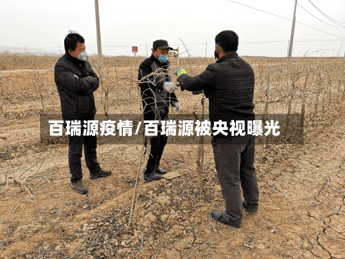 百瑞源疫情/百瑞源被央视曝光-第3张图片