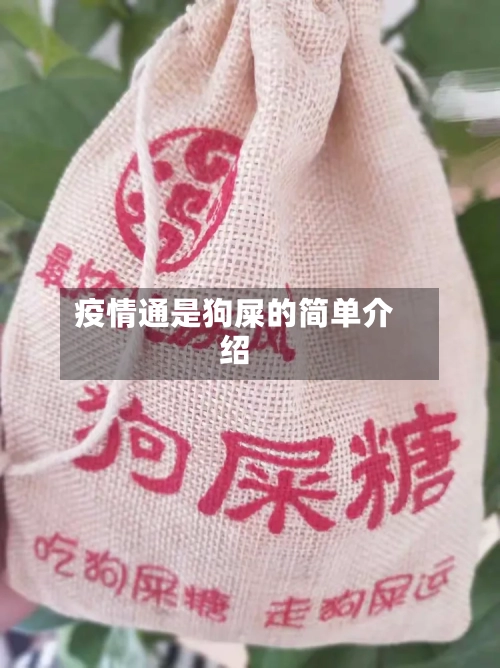 疫情通是狗屎的简单介绍