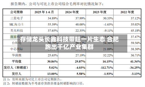 存储龙头长鑫科技带旺一片生态 合肥跑出千亿产业集群-第2张图片