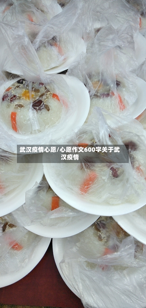 武汉疫情心愿/心愿作文600字关于武汉疫情