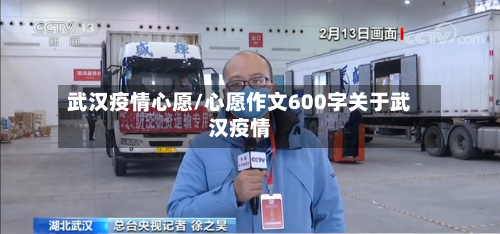 武汉疫情心愿/心愿作文600字关于武汉疫情-第2张图片