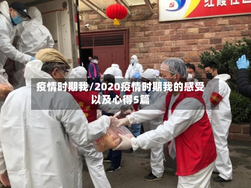 疫情时期我/2020疫情时期我的感受以及心得5篇