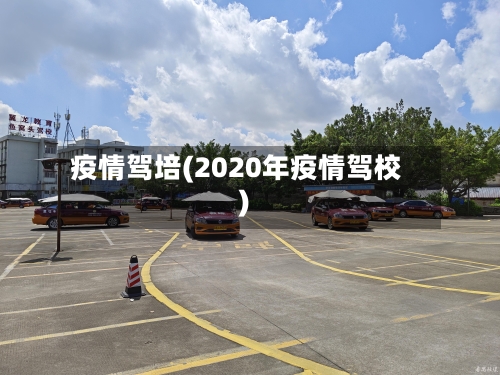 疫情驾培(2020年疫情驾校)-第2张图片