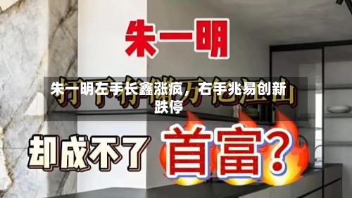 朱一明左手长鑫涨疯，右手兆易创新跌停-第2张图片