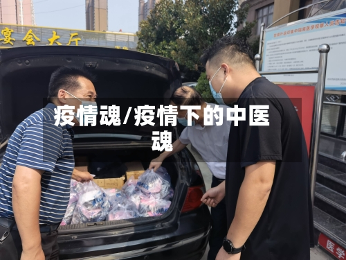 疫情魂/疫情下的中医魂