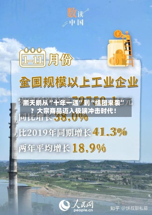 黑天鹅从“十年一遇”到“组团来袭”？大宗商品迈入极端冲击时代！