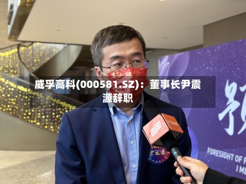 威孚高科(000581.SZ):董事长尹震源辞职-第2张图片