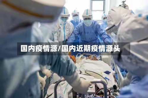 国内疫情源/国内近期疫情源头-第2张图片