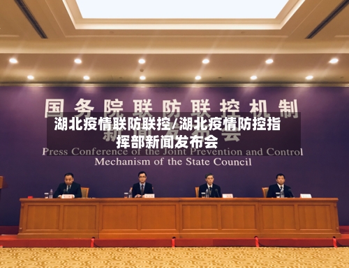 湖北疫情联防联控/湖北疫情防控指挥部新闻发布会-第2张图片