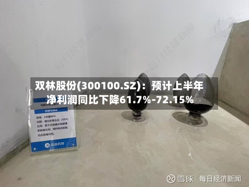 双林股份(300100.SZ)：预计上半年净利润同比下降61.7%-72.15%-第3张图片
