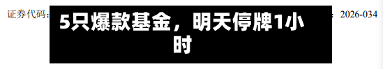 5只爆款基金，明天停牌1小时