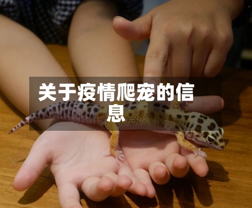 关于疫情爬宠的信息-第2张图片