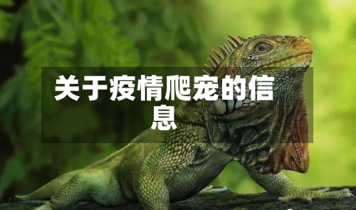 关于疫情爬宠的信息-第3张图片