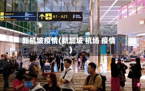 新机坡疫情(新加坡 机场 疫情)