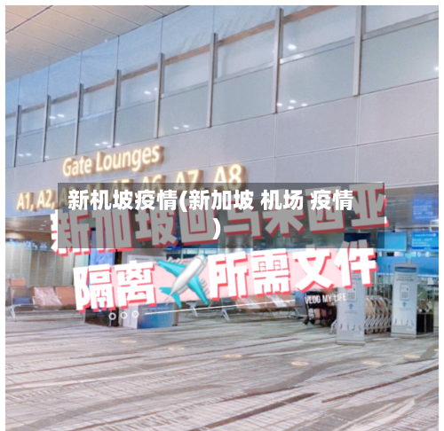 新机坡疫情(新加坡 机场 疫情)-第2张图片