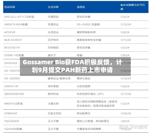Gossamer Bio获FDA积极反馈，计划9月提交PAH新药上市申请-第3张图片