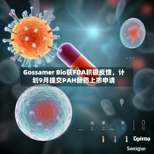 Gossamer Bio获FDA积极反馈，计划9月提交PAH新药上市申请-第2张图片