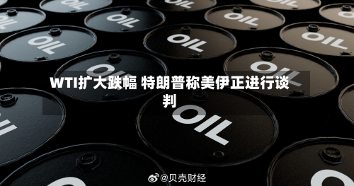 WTI扩大跌幅 特朗普称美伊正进行谈判