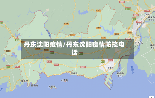 丹东沈阳疫情/丹东沈阳疫情防控电话-第3张图片