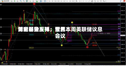 博时基金王祥：世界黄金弱势反弹，聚焦本周美联储议息会议-第2张图片