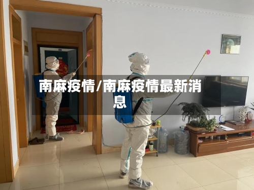 南麻疫情/南麻疫情最新消息-第2张图片