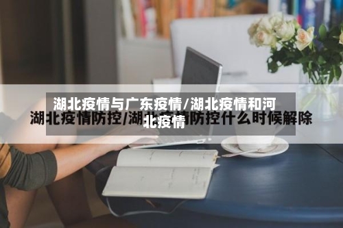湖北疫情与广东疫情/湖北疫情和河北疫情