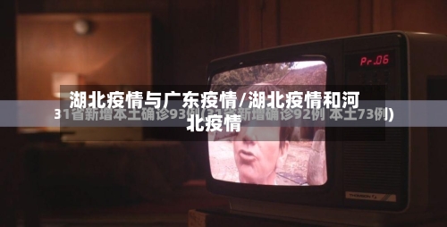 湖北疫情与广东疫情/湖北疫情和河北疫情-第3张图片