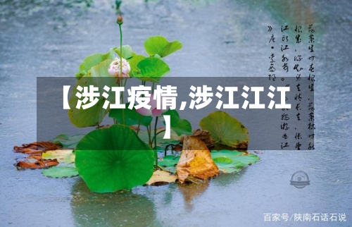 【涉江疫情,涉江江江】