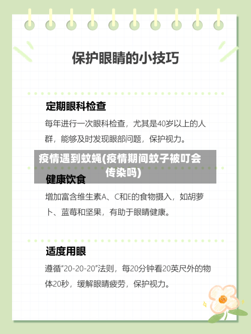 疫情遇到蚊蝇(疫情期间蚊子被叮会传染吗)-第3张图片