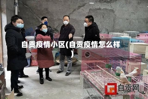 自贡疫情小区(自贡疫情怎么样)