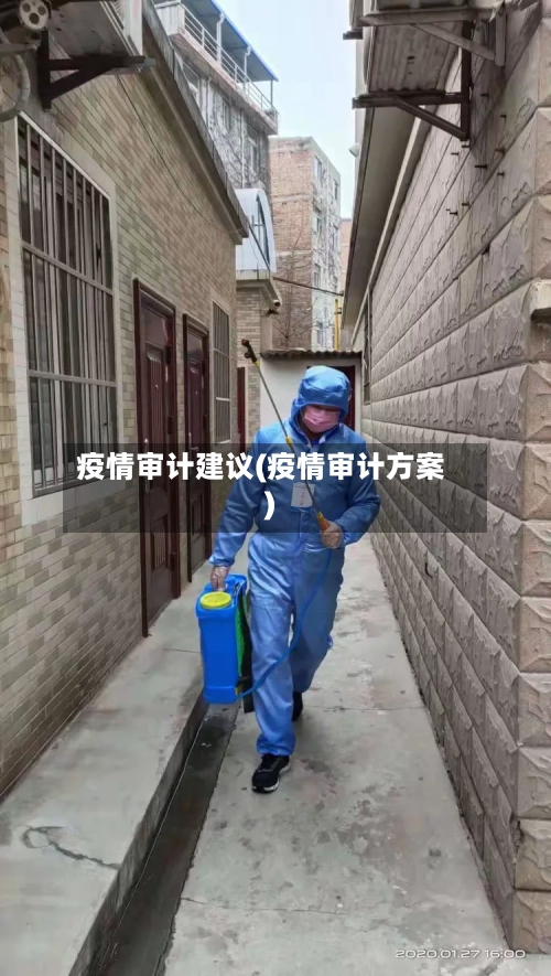 疫情审计建议(疫情审计方案)