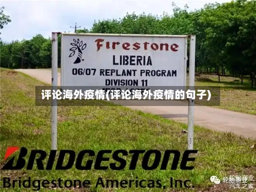 评论海外疫情(评论海外疫情的句子)