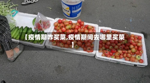 【疫情期咋买菜,疫情期间去哪里买菜】