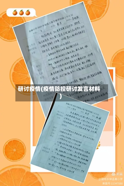 研讨疫情(疫情防控研讨发言材料)-第3张图片