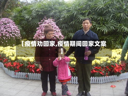 【疫情劝回家,疫情期间回家文案】-第3张图片
