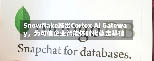 Snowflake推出Cortex AI Gateway	，为可信企业智能体时代奠定基础-第2张图片