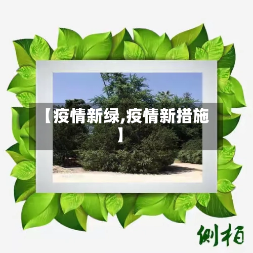【疫情新绿,疫情新措施】-第3张图片