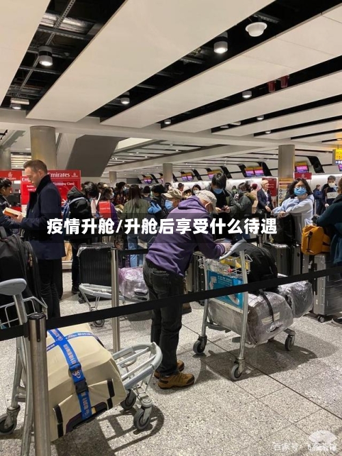 疫情升舱/升舱后享受什么待遇