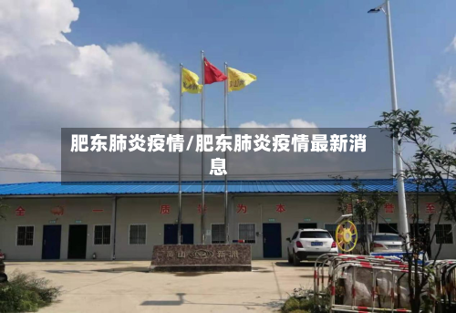 肥东肺炎疫情/肥东肺炎疫情最新消息-第2张图片