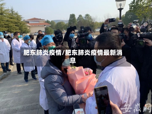 肥东肺炎疫情/肥东肺炎疫情最新消息