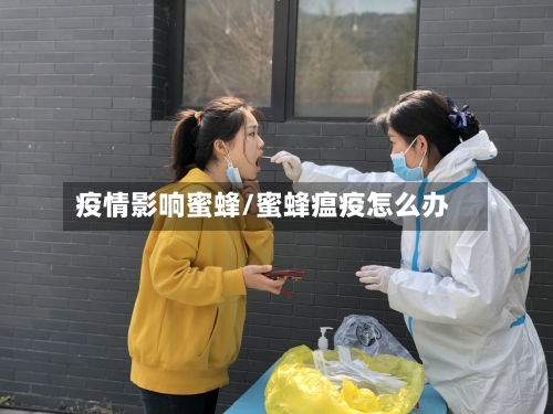 疫情影响蜜蜂/蜜蜂瘟疫怎么办-第2张图片